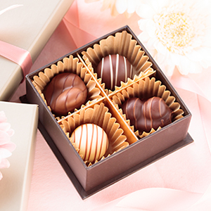 サンプル品０００１